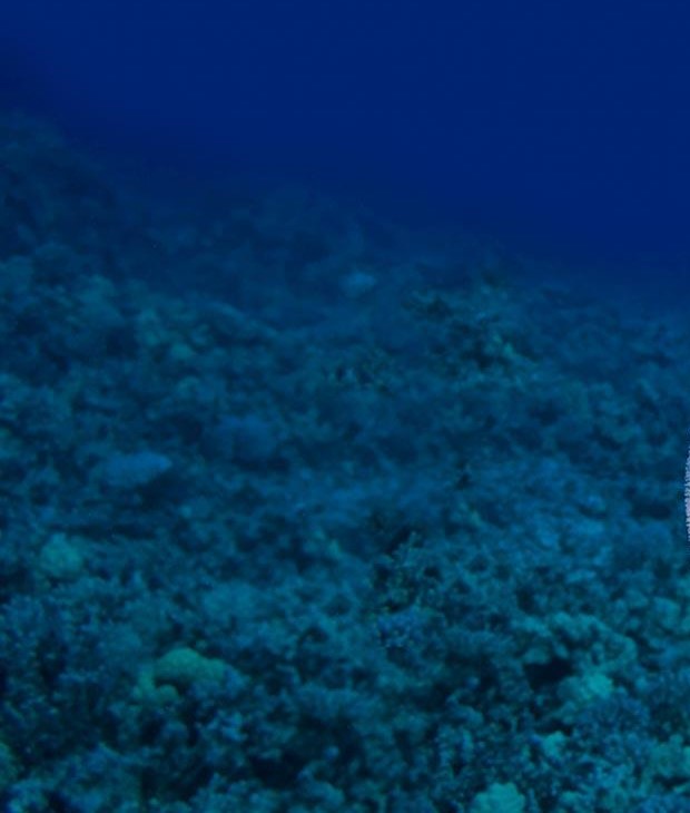 Response of Stock Exchange of Mauritius Ltd (SEM) to request for clarifications