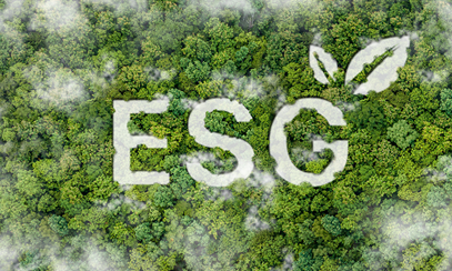 SEM partners with Risk Insights to enhance the quality of ESG reporting in Mauritius